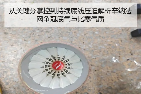 cong-guan-jian-fen-zhang-kong-dao-chi-xu-di-xian-ya-po-jie-xi-xin-na-fa-wang-zheng-guan-di-qi-yu-bi-sai-qi-zhi-2-766.jpg